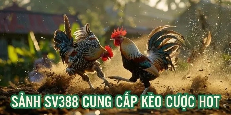 Nhiều kèo cược ưu đãi, độc đáo trên sảnh SV388