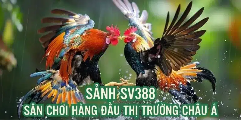 Một số ưu điểm nổi bật trong quá trình trải nghiệm sảnh